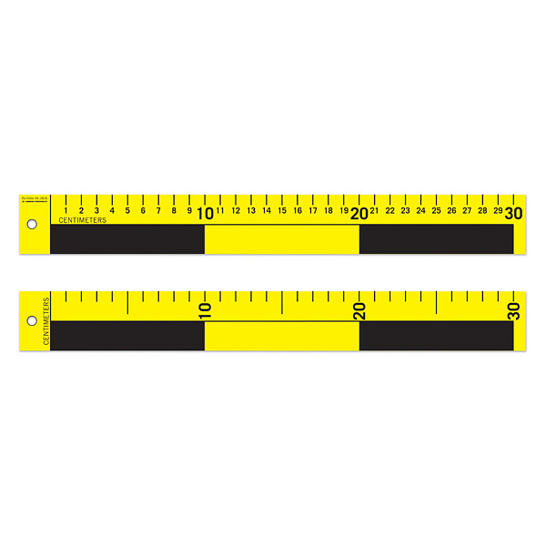 Scales - 30 cm, 5 pcs