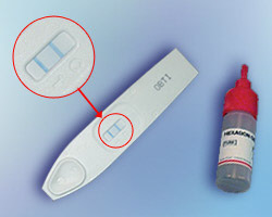 Hexagon OBTI, blood confirmatory test, 24 pcs