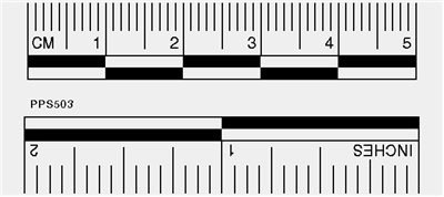 adhesive white scales 150 pcs welcome by loci forensics b v products training consulting