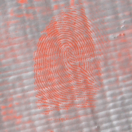 images/productimages/small/1-0009-red-bi-chromatic-powder-example-print-l.jpg