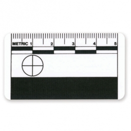 Scales - 5 cm, 10 pcs