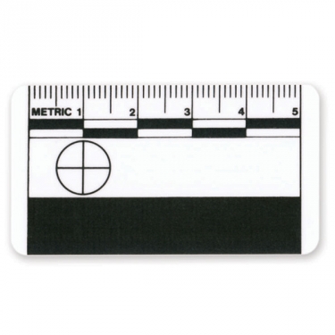 Scales - 5 cm, 10 pcs