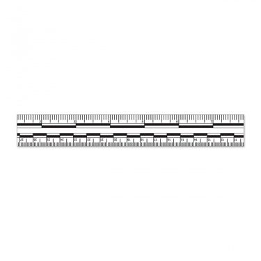 Continuous 12 in Photo Scale Roll