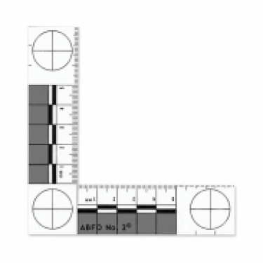 ABFO No. 2 - Bitemark Scale