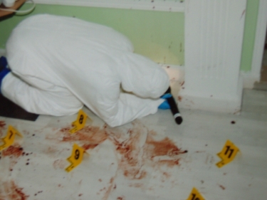 Advanced Bloodstain Analysis Course:  7-11 October 2024