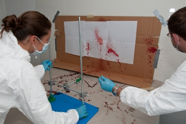 Basic Bloodstain Analysis Course:  9-13 September 2024