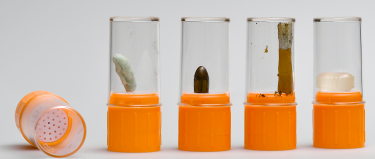 DNA-Free Evidence Container (ETO), packed 30 x 1 pcs